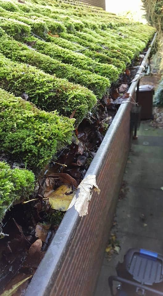 Gutter Vacuum Clearing